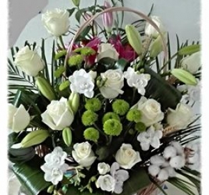 Floraria Ella