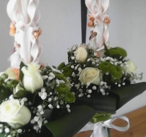 RAVIOS – FLORARIA VIOS