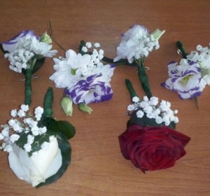 Floraria Select Flora