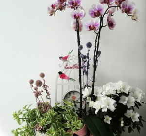 Aranjamente Florale Nunta Bihor