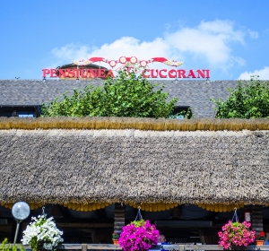 Restaurant Cucorani
